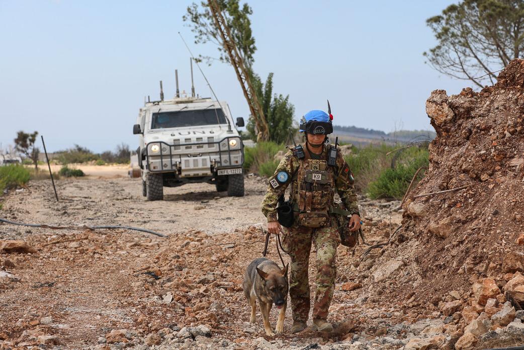 Recovery and resilience: Strengthening communities in south Lebanon